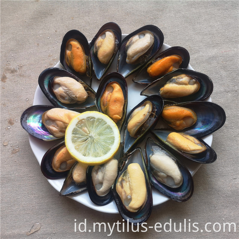 mussle hijau dimasak segar beku berkualitas tinggi